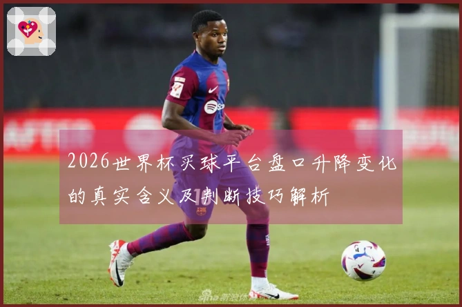 2026世界杯买球平台盘口升降变化的真实含义及判断技巧解析