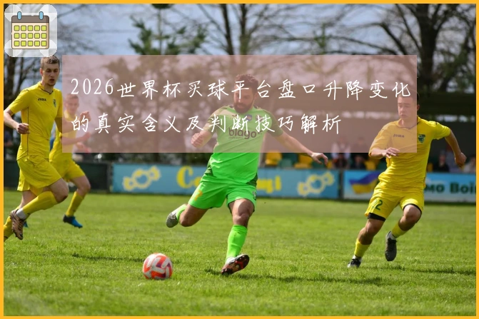 2026世界杯买球平台盘口升降变化的真实含义及判断技巧解析