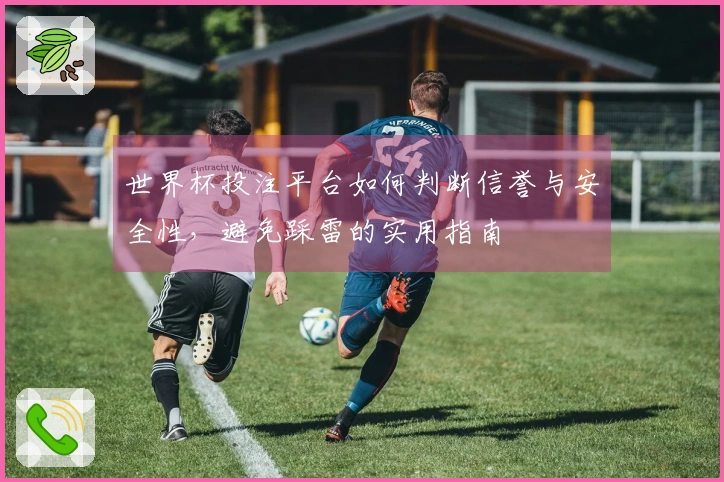 世界杯投注平台如何判断信誉与安全性，避免踩雷的实用指南