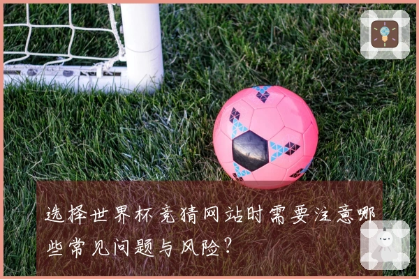 选择世界杯竞猜网站时需要注意哪些常见问题与风险?