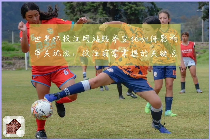 世界杯投注网站赔率变化如何影响串关玩法，投注前需掌握的关键点是什么