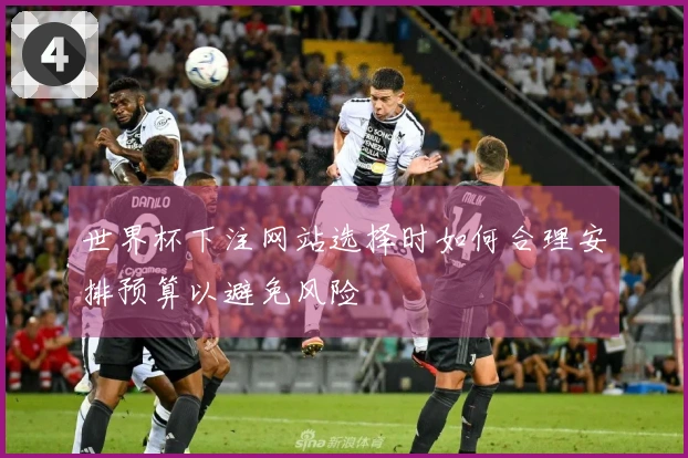 世界杯下注网站选择时如何合理安排预算以避免风险