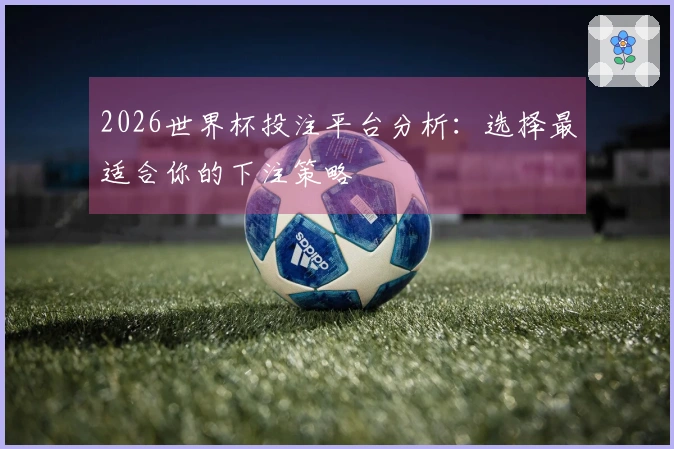 2026世界杯投注平台分析：选择最适合你的下注策略