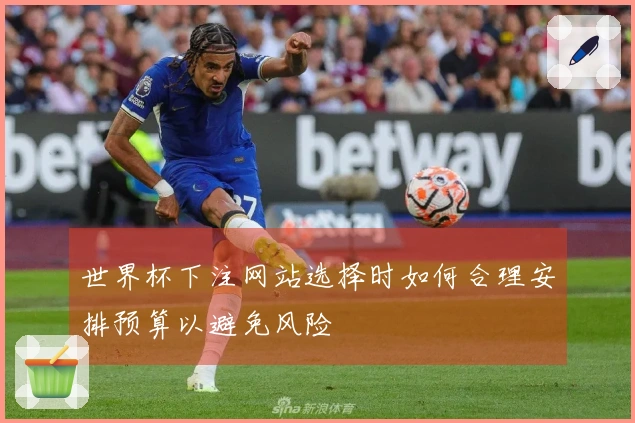 世界杯下注网站选择时如何合理安排预算以避免风险