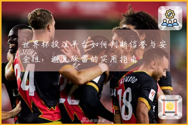 世界杯投注平台如何判断信誉与安全性，避免踩雷的实用指南