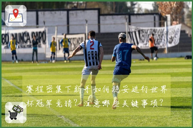 赛程密集下新手如何稳妥进行世界杯冠军竞猜？注意哪些关键事项？