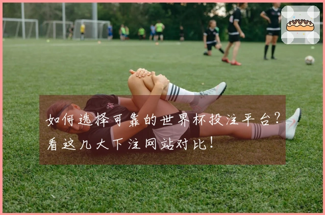 如何选择可靠的世界杯投注平台？看这几大下注网站对比！